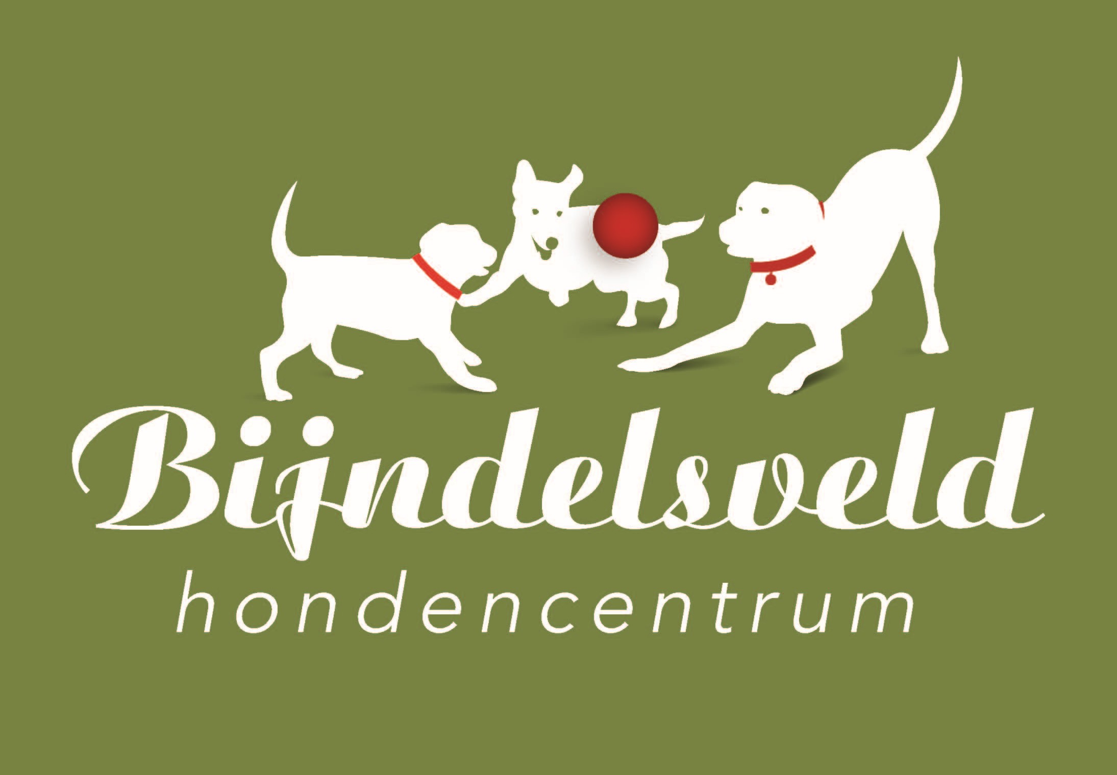 bijndelsveld logo