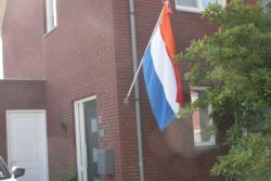 IMG_2946.JPG