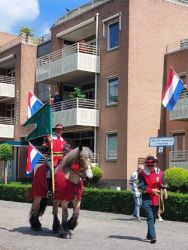Standaardruiter Cor Geenen te paard -  Gildedag Hoge Schuts Rosmalen 2024.jpeg